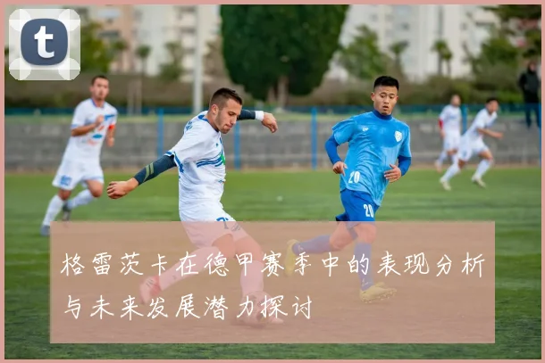 格雷茨卡在德甲赛季中的表现分析与未来发展潜力探讨
