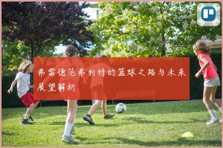 弗雷德范弗利特的篮球之路与未来展望解析