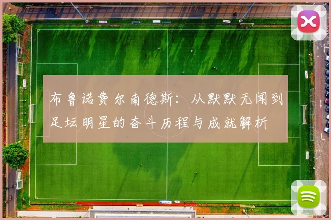 布鲁诺费尔南德斯：从默默无闻到足坛明星的奋斗历程与成就解析