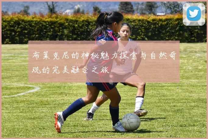 布莱克尼的神秘魅力探索与自然奇观的完美融合之旅